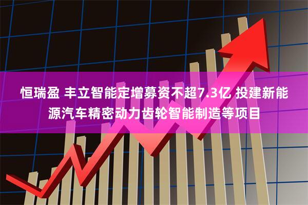 恒瑞盈 丰立智能定增募资不超7.3亿 投建新能源汽车精密动力齿轮智能制造等项目