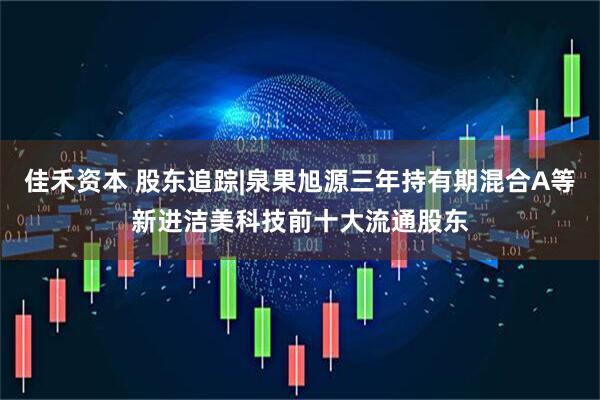 佳禾资本 股东追踪|泉果旭源三年持有期混合A等新进洁美科技前十大流通股东