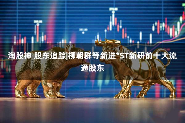 淘股神 股东追踪|柳朝群等新进*ST新研前十大流通股东